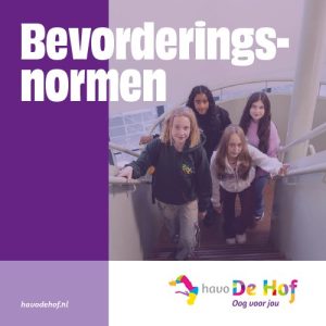 bevorderingsnormen